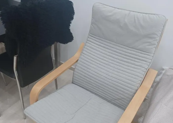 Cozy Renovated Apartment